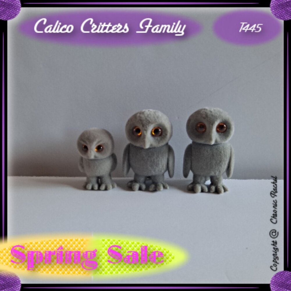 Treefellow Owl Family